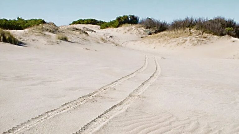 Turistas volcaron en los médanos de Villa Gesell y una mujer resultó herida