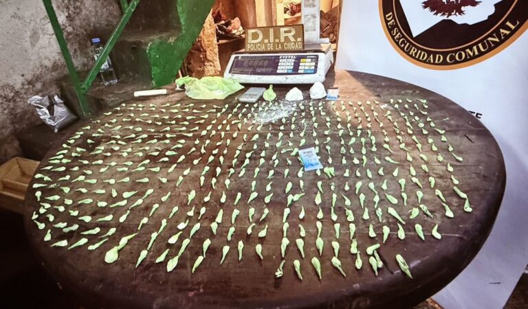 Una mujer en silla de ruedas fue detenida con cocaína en un maxikiosco de Constitución