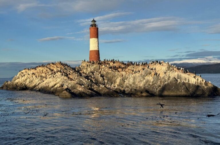 Conectividad Invernal: se fortalece el vínculo turístico entre Brasil y la Patagonia