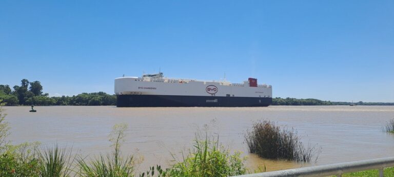 Autos chinos en Argentina: precios, modelos y por qué crecieron un 500% en ventas
