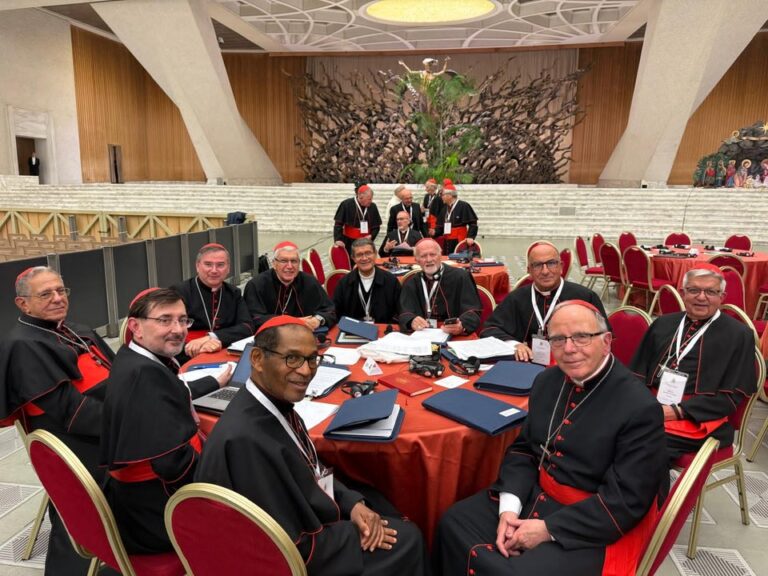 El Papa León XIV recibió al cardenal Vicente Bokalic