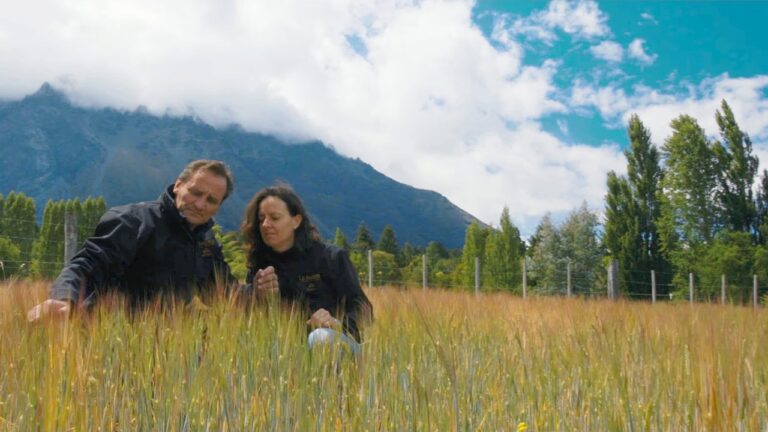 Los emprendedores patagónicos buscan crecer y ganar mercado mediante una encuesta federal