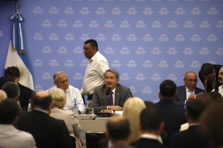 Diputados realizan audiencia por la Ley de Glaciares entre fuertes protestas y defensas de la minería