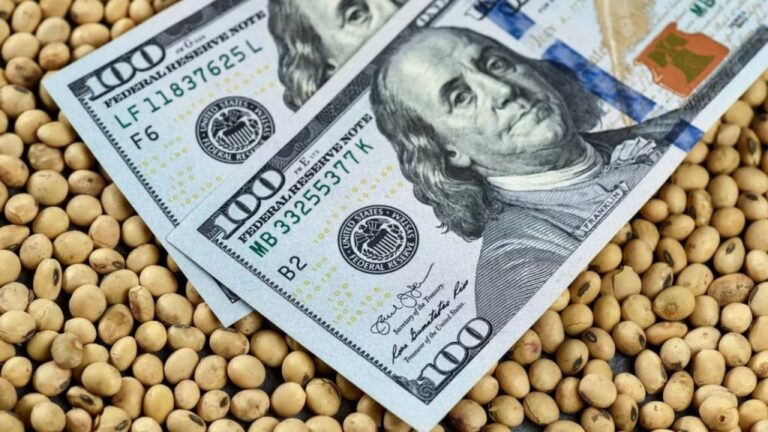 Calculan que eliminar las retenciones al agro aumentaría las exportaciones a US$50.500 millones en 2036